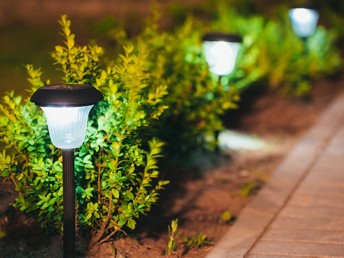 Solar outdoor lighting in front of shrubs.